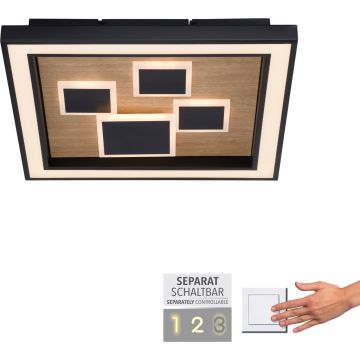 Paul Neuhaus ELIZA 6283-79 Lampă de tavan 1x55W/LED 3000k 5760lm ip20