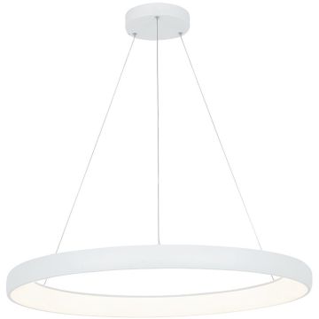 Zambelis PENDANT LED 2061 Lampă cu pendul 60W/led 3000K 4800lm IP20