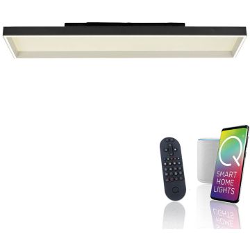 Paul Neuhaus Q-MAGONG 6317-18 Lampă de tavan 1x52W/LED 2700-5000k 5800lm ip20
