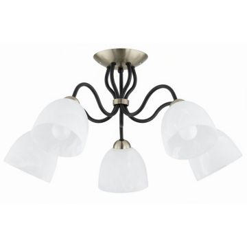 Alfa ARIEL 63428 Lampă de tavan 5x15W/E27