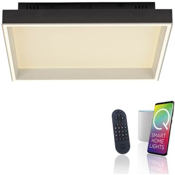 Paul Neuhaus Q-MAGONG 6316-18 Lampă de tavan 1x40W/LED 2700-5000k 5700lm ip20