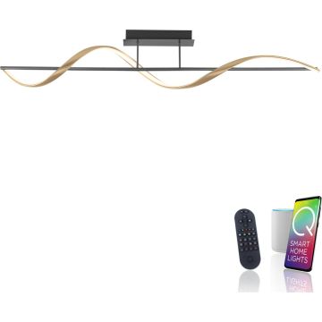Paul Neuhaus Q-SWING 6385-13 Lampă de tavan 1x28W/LED 2700-5000k 3100lm ip20