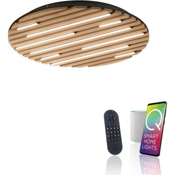 Paul Neuhaus Q-AKUSTIK 6421-79 Lampă de tavan 1x38W/LED 2700-5000k 3360lm ip20