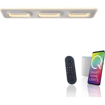 Paul Neuhaus Q-KALINA 6505-16 Lampă de tavan 1x61W/LED 2700-5000k 6700lm ip20