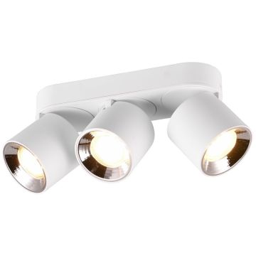 Trio GUAYANA 651000331 Spot 3x10w/gu10 ip20