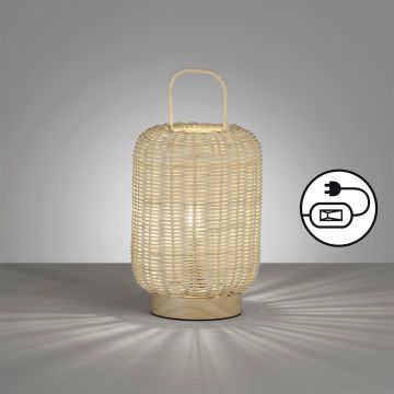 Fischer&Honsel Nature 50738 Lampă de masă 1x25W/E14 IP20