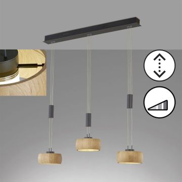 Fischer&Honsel SHINE-WOOD 61093 Lampă cu pendul 3x9W/LED 2700K 2900 lm IP20