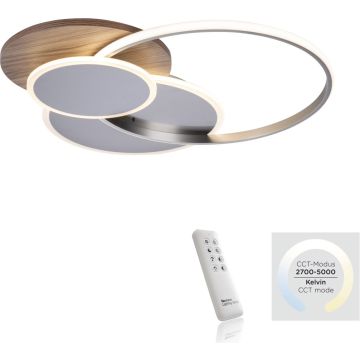 Paul Neuhaus PALMA 8328-79 Lampă de tavan 1x55W/LED 2700-5000k 6000lm ip20