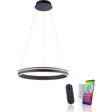 Paul Neuhaus Q-VITO 8411-13 Lampă cu pendul 1x44W/LED 2700-5000k 4550lm ip20