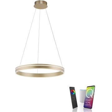 Paul Neuhaus Q-VITO 8411-60 Lampă cu pendul 1x44W/LED 2700-5000k 4550lm ip20