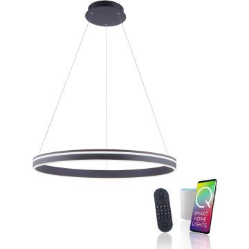 Paul Neuhaus Q-VITO 8412-13 Lampă cu pendul 1x65W/LED 2700-5000k 7000lm ip20