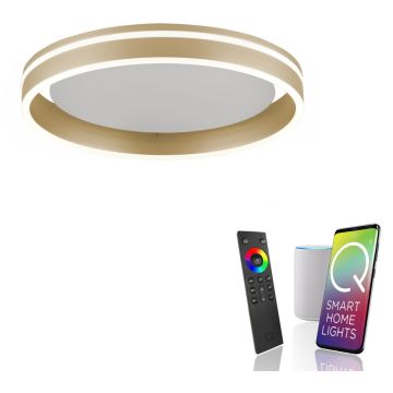 Paul Neuhaus Q-VITO 8414-60 Lampă de tavan 1x33W/LED 2700-5000k 3250lm ip20