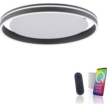 Paul Neuhaus Q-VITO 8416-13 Lampă de tavan 1x44W/LED 2700-5000k 4570lm ip20