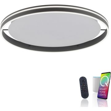 Paul Neuhaus Q-VITO 8418-13 Lampă de tavan 1x65W/LED 2700-5000k 7000lm ip20