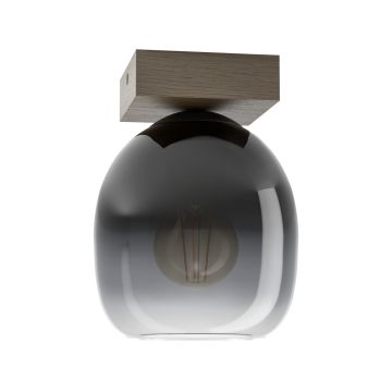 Eglo FILAGO 900825 Lampă de tavan 1x40W/E27 IP20