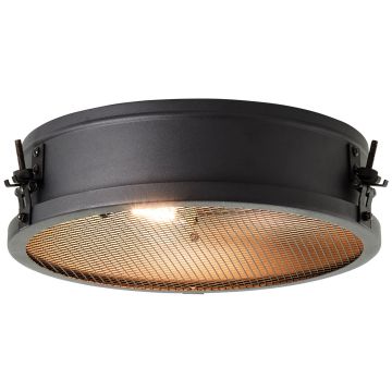 Brilliant ZOIS HK19237S76 Lustră de tavan 2x28W/E27 IP20
