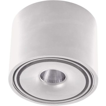 AZzardo BOSTON TUBE AZ3469 Lumină montată pe suprafață 1x10W/LED 3200K 685LM IP20