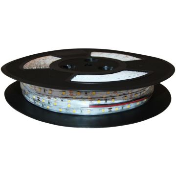 Eko-Light EKPL521 Bandă LED 9,6W/m/LED 3000K IP20