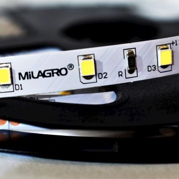 Milagro LED STRIP ML4747 Bandă LED 24W/500cm IP20