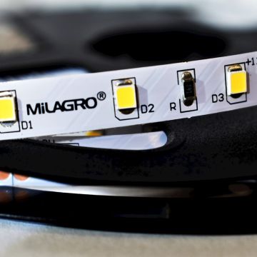 Milagro LED STRIP ML4748 Bandă LED 24W/500cm IP20