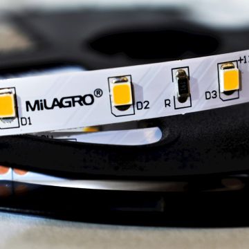 Milagro LED STRIP ML4749 Bandă LED 24W/500cm IP20