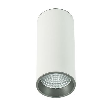 Italux MOLDES SLC7392/12W 4000K WH+GR Lumină montată pe suprafață 1x12W/LED 820LM IP20