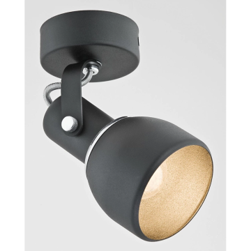 Argon FOGO 3585 Spot 1x60W/E27 IP20