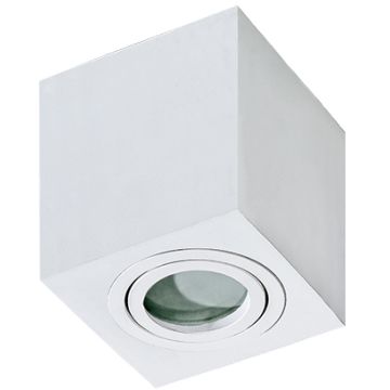 AZzardo BRANT AZ2822 Lumină montată pe suprafață 1x50W/GU10 IP44