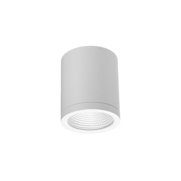 Azzardo CONYON AZ6028 Lumină montată pe suprafață 1x15W/LED 3000|4000|6000 900lm IP54