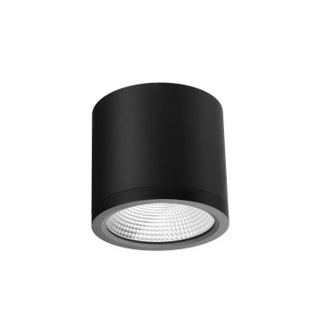 Azzardo CONYON AZ6029 Lumină montată pe suprafață 1x25W/LED 3000|4000|6000 1400lm IP54