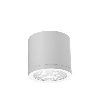 Azzardo CONYON AZ6030 Lumină montată pe suprafață 1x25W/LED 3000|4000|6000 1400lm IP54