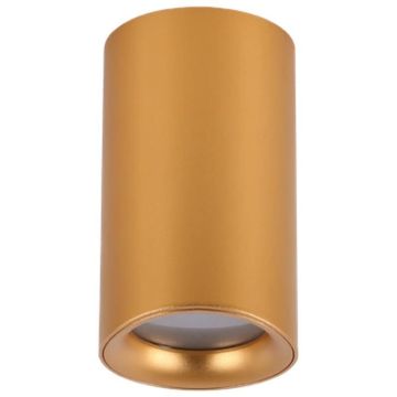 AZzardo EIGER AZ5239 Lumină montată pe suprafață 1x60W/GU10 IP54