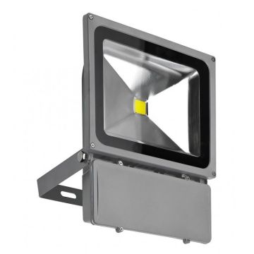 AZzardo FLOOD LIGHT AZ1201 Halogen 1x80W/LED 4200K 5600LM IP65