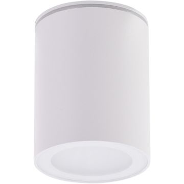 AZzardo PAPIKO AZ4217 Lumină montată pe suprafață 1x50W/GU10 IP65