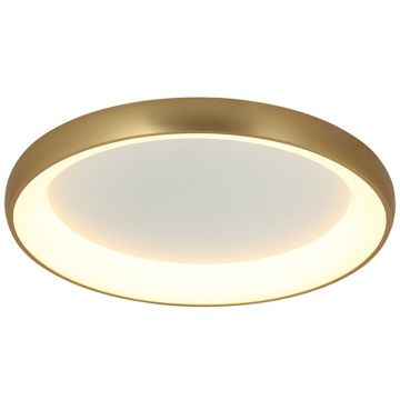 Zambelis CEILING LED LAMP 2050 Lustră de tavan 43W/led 3000K 3715lm IP20