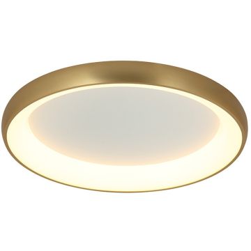 Zambelis CEILING LED LAMP 2058 Lustră de tavan 55W/led 3000K 4080lm IP20