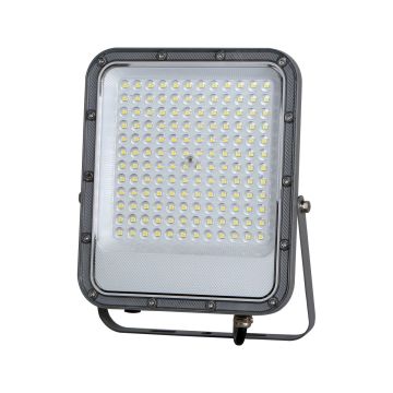 Italux Timbo FD-23913-100W Halogen 1x100W/LED 4000K 10000lm IP65