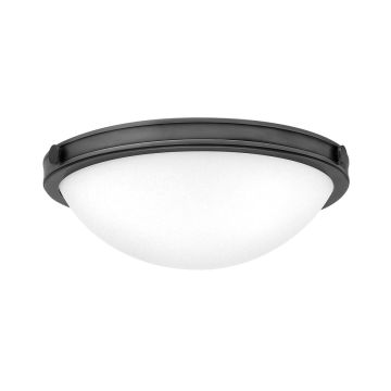 Hinkley Lighting Collier HK-COLLIER-F-S-BX Lustră de tavan 2x40W/E27 IP20