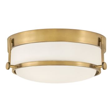 Hinkley Lighting Harper HK-HARPER-F-HB Lustră de tavan 3x60 W/E27