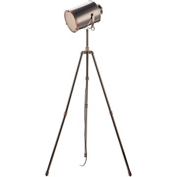 Dar Lighting Jake JAK4921 Lampă de podea 1x40w/e27 ip20