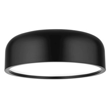Luces Exclusivas GUIGUE LE42036 Lampă de tavan IP20