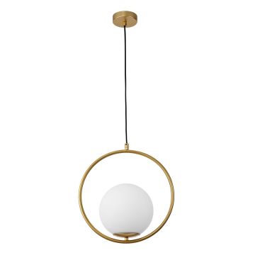 Luces Exclusivas RENGO LE41770 Lampă cu pendul IP20