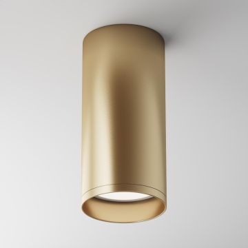 Maytoni FOCUS C010CL-01MG Lumină montată pe suprafață 1x50W/GU10 IP20