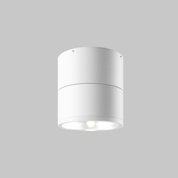 Maytoni Spin O310CL-L12W3K Lumină montată pe suprafață 1x12W/LED 3000K 1050lm IP54