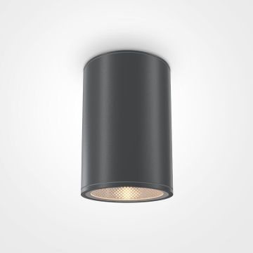 Maytoni BAR O306CL-L12GF Lumină montată pe suprafață 1x12W/LED 3000K 1300LM IP65