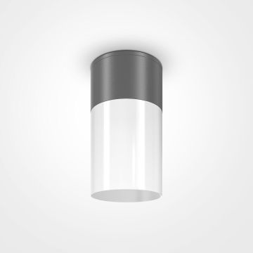 Maytoni WILLIS O418CL-01GR Lumină montată pe suprafață 1x60W/E27 IP54