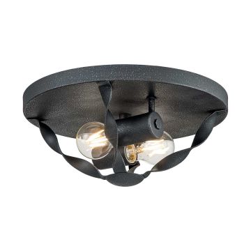 Quoizel Bradbury QZ-BRADBURY-F-GK Lustră de tavan 2x60W/E14