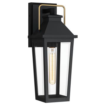 Quoizel Buckley QZ-BUCKLEY-M-MBK Aplique de perete 1x40W/E27 IP44