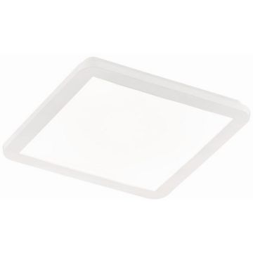 Trio CAMILLUS R62931801 Panou LED 1x18w/led 3000k 1650lm ip44