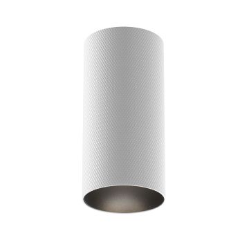 Maytoni Artisan C080CL-01-GU10-W Lumină montată pe suprafață 1x10W/GU10 IP20